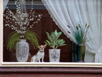 https://www.floormeijers.nl/files/gimgs/th-57_floormeijersRC1.jpg